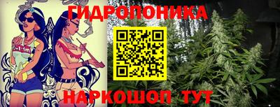 mdpv Гатчина
