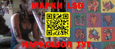шишки Кандалакша