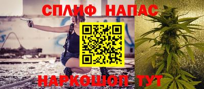 mdpv Гатчина