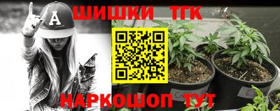 mdpv Гатчина