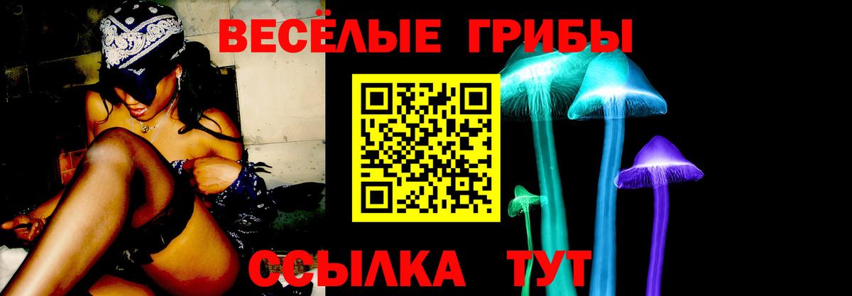 Галлюциногенные грибы прущие грибы Валуйки